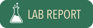 Lab Report